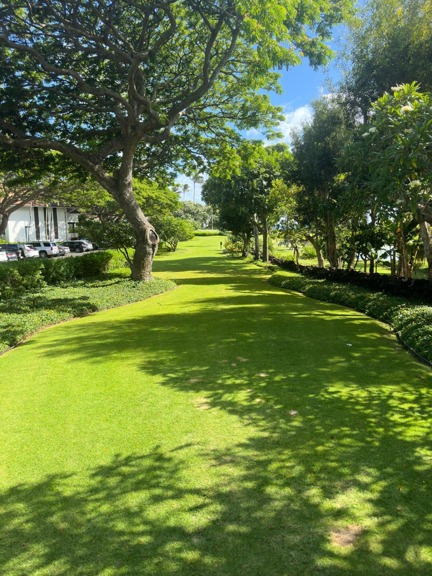 Kiahuna Paradise At Poipu Beach, Newly Remodeled Koloa Kültér fotó